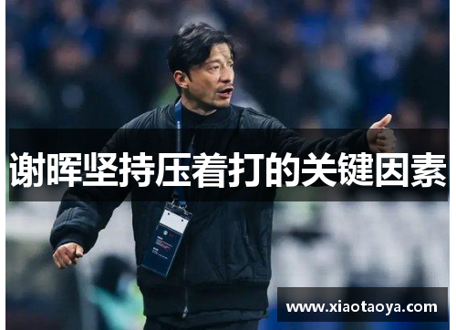 谢晖坚持压着打的关键因素