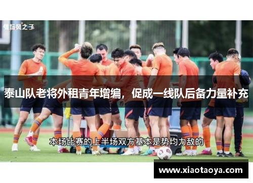 泰山队老将外租青年增编，促成一线队后备力量补充